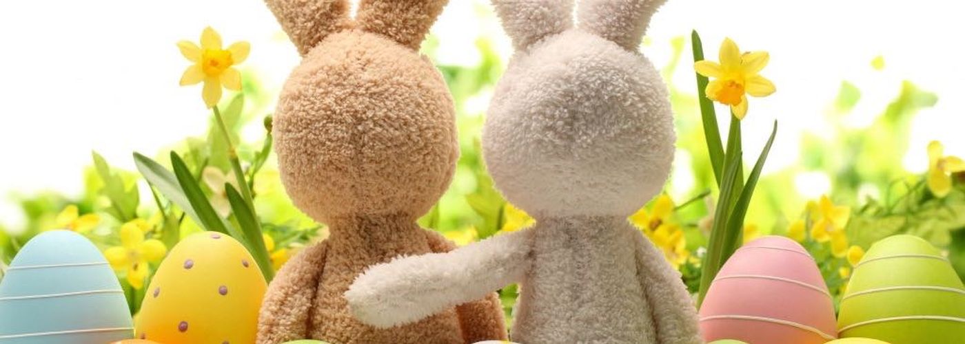 A Pasqua torna il banchetto solidale di Ariel! Il 16 e 17 aprile in Humanitas.