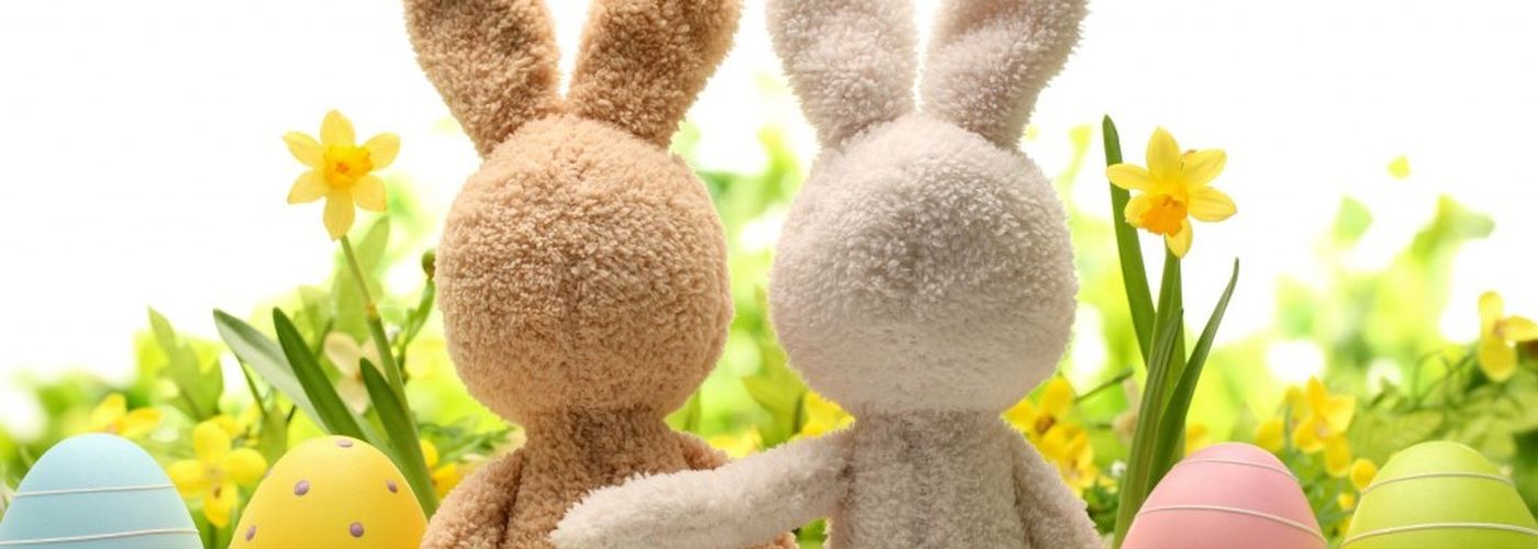 A Pasqua torna il banchetto solidale di Ariel! Il 27 e 29 marzo in Humanitas.